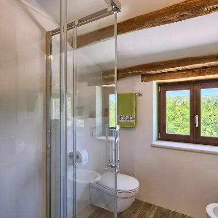 Banic Holiday home Motovun